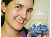 SPRAY FREE SWEET TASTING BLUEBERRIES  125 Gram Punnet Katikati Grown